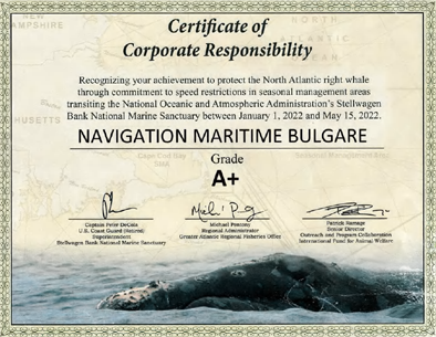 NMB Certificate