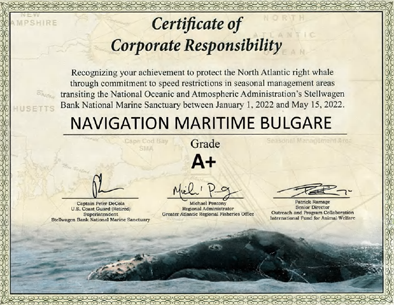 NMB_Certificate NMB_Certificate
